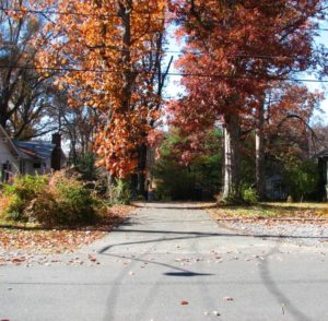 125 & 135 harmon ~ shared driveway