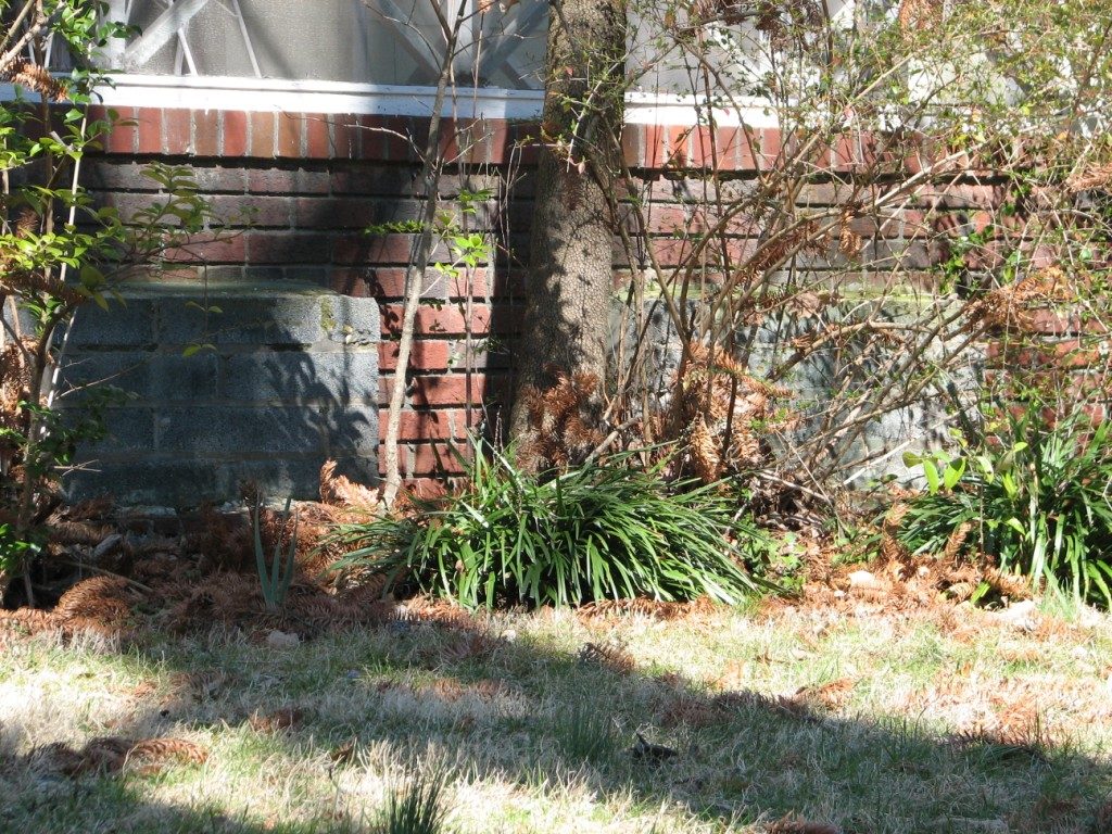 136 harmon ~ bomb shelter