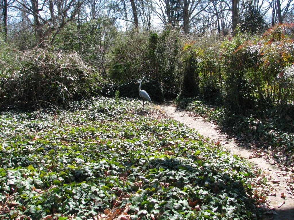 136 harmon ~ chicken coop garden