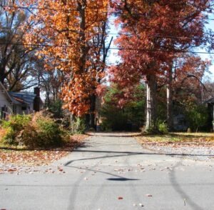 125 & 135 harmon ~ shared driveway